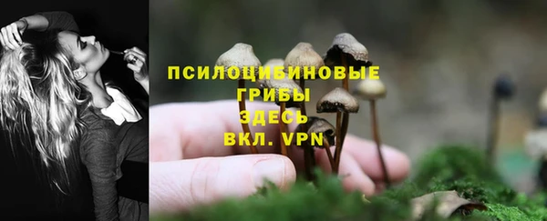амфетамин Арсеньев