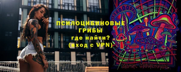 хмурый Балабаново