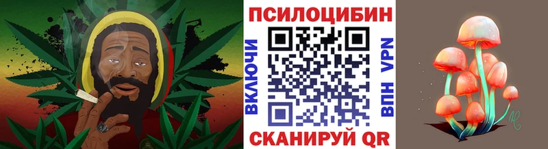 Псилоцибиновые грибы мухоморы где продают наркотики Волгоград